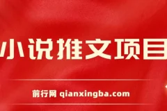 小说推文项目，新人操作6天，每天3位数分享课