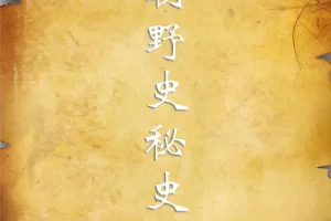 《历朝历代野史秘史合集》了解不一样的历史