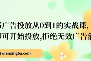 【精】小红书广告投放从0到1的实战课，学完即可开始投放，拒绝无效广告消耗