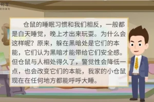 云舒写小学5-6年级写作素材课程